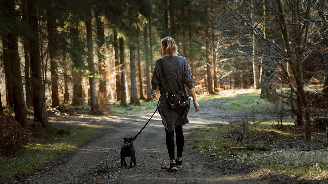 Kvinna går i skogen med sin hund